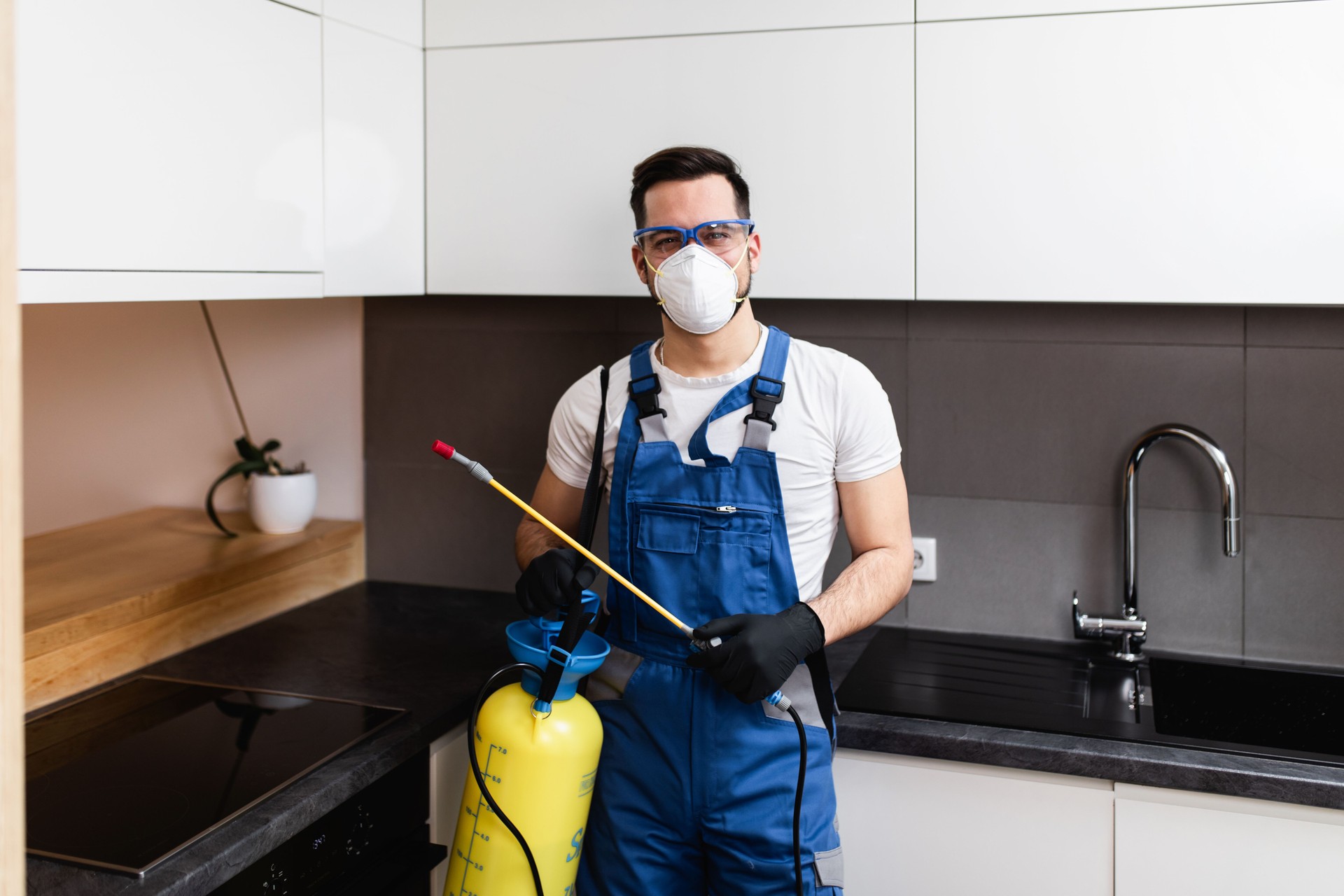 House pest control