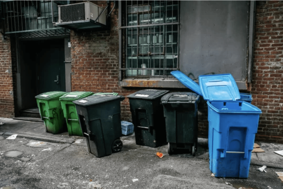 Restaurant pest control in massachusetts: the complete compliance guide 2 Pests love the garbage in worcester ma