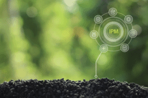 pest digital monitoring ipm
