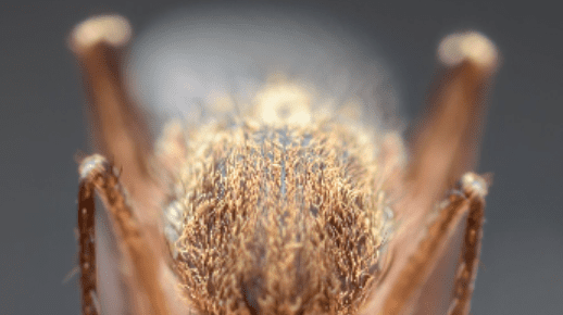 Residential solutions 2