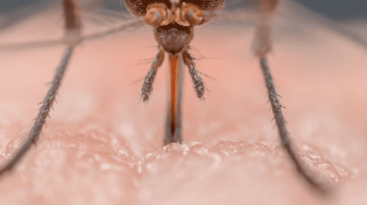 Residential solutions 5