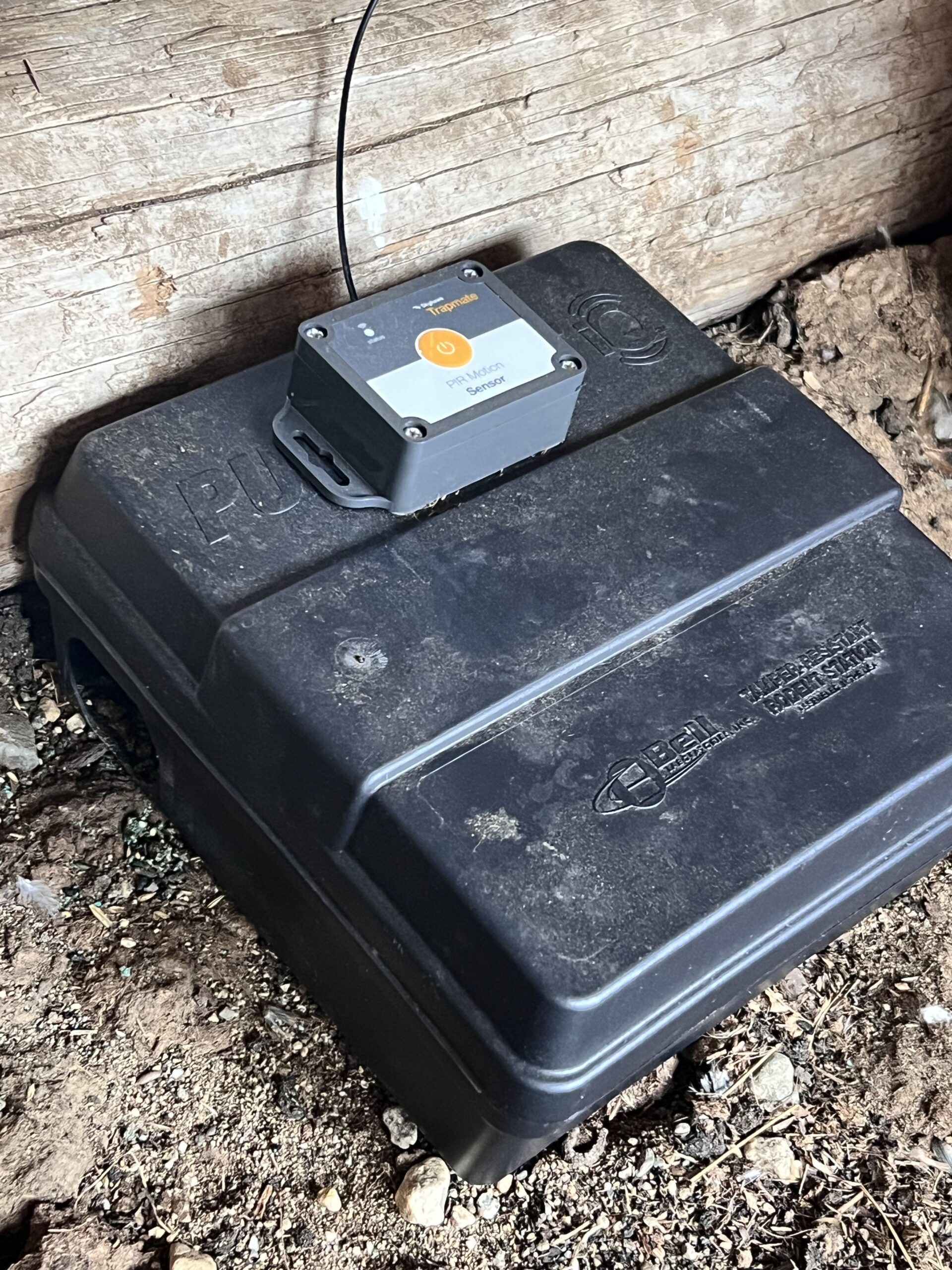 Demystifying digital pest monitoring: smart protection for every property 1