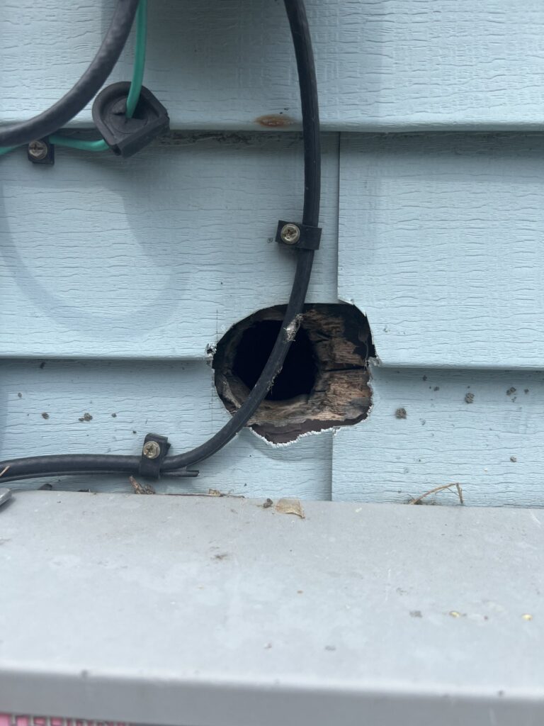 Residential rodent exclusion 3 Hole in siding around a service cable enlarged by rodent gnawing with wood rot at the edges, worcester county home