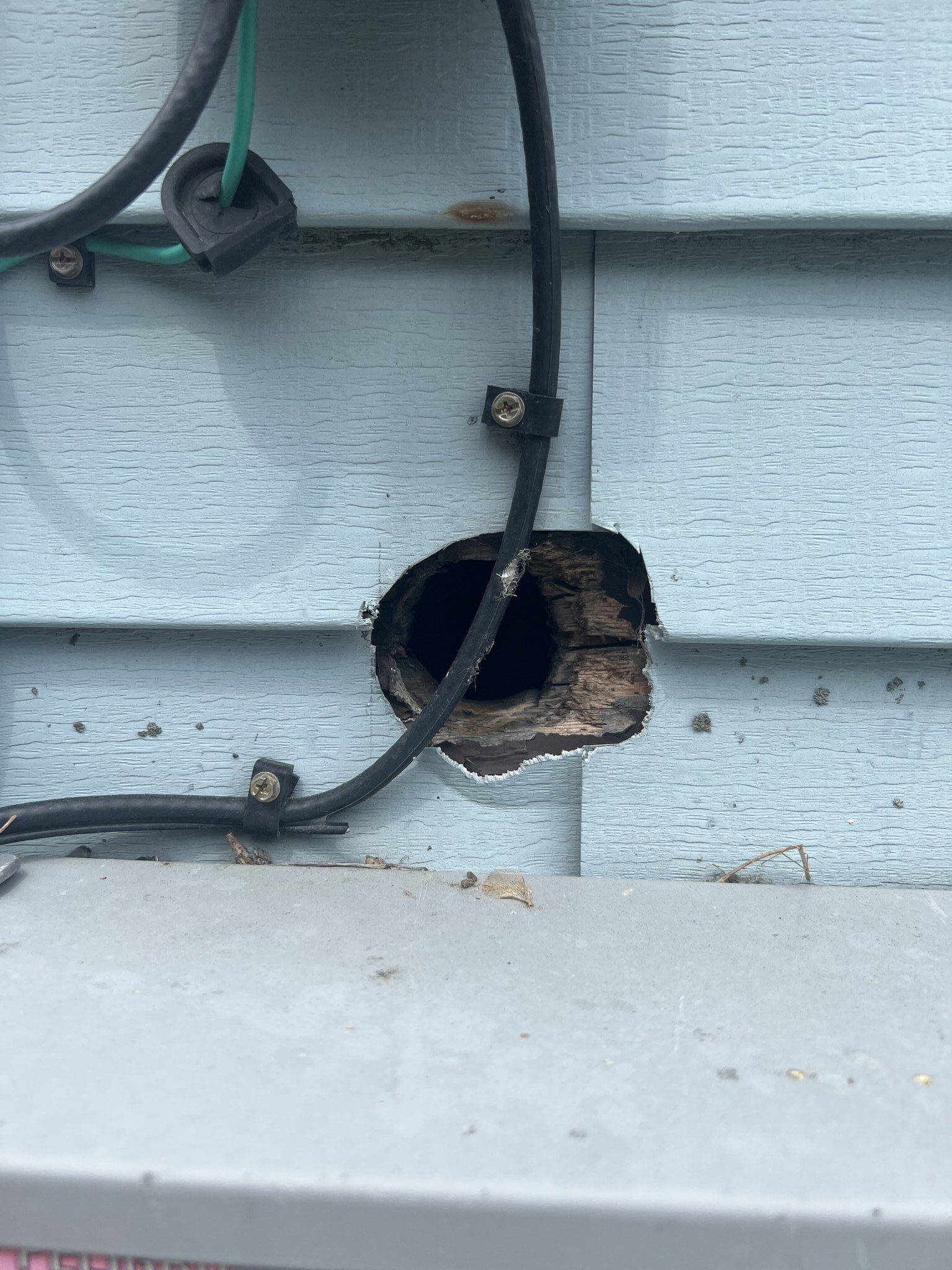 Fall pest invaders service for worcester county homes 3 Hole in siding around a service cable enlarged by rodent gnawing with wood rot at the edges, worcester county home