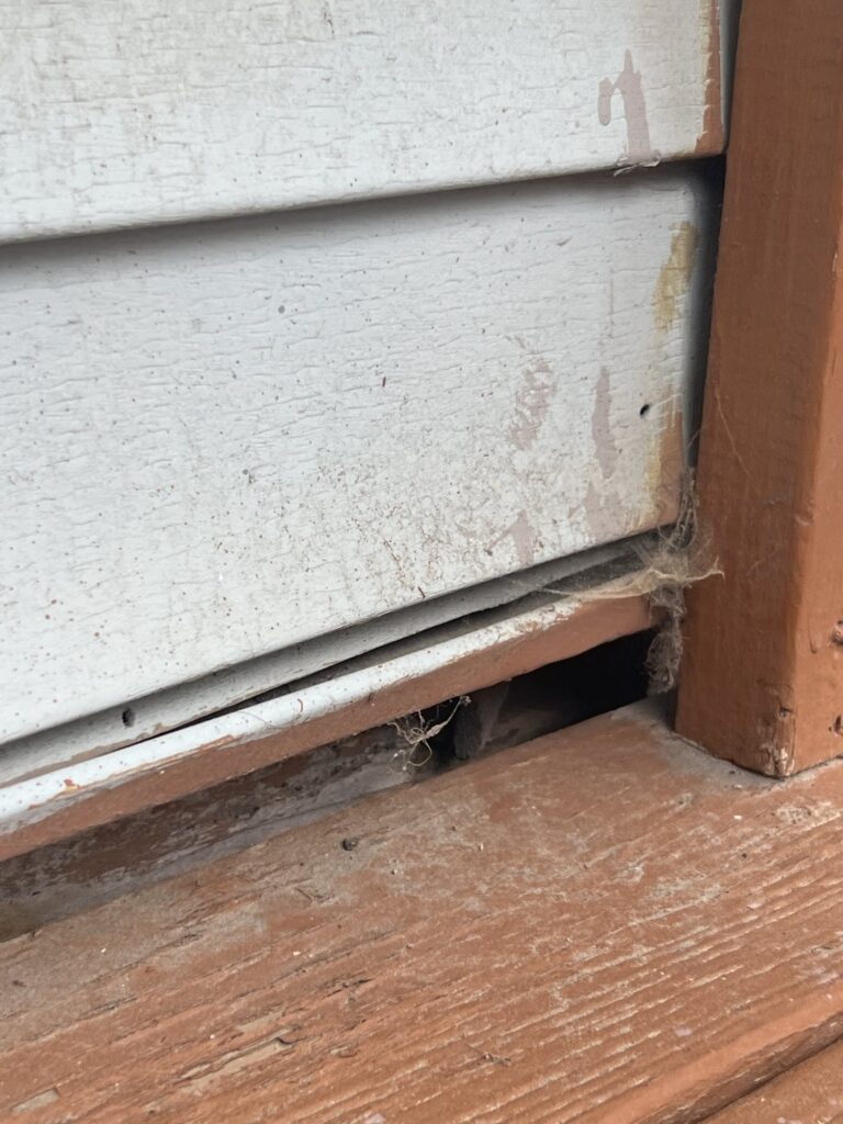 Residential rodent exclusion 4 Open gap beneath the bottom course of clapboard siding at the sill and door trim on a worcester county home